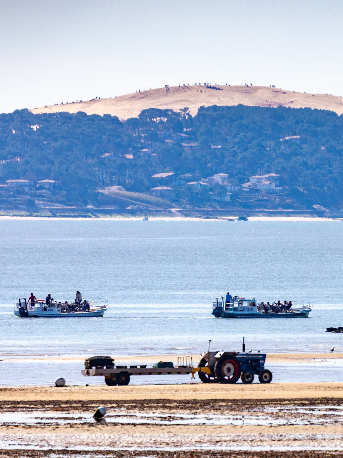 balade en chaland bateau - Arcachon Cap Ferret Bassin Arcachon - Balade sur Chaland - Image 51 OK