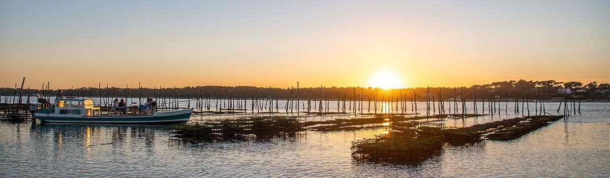Balade en chaland basssin arcachon cap ferret - Balade sur chaland - Image-32